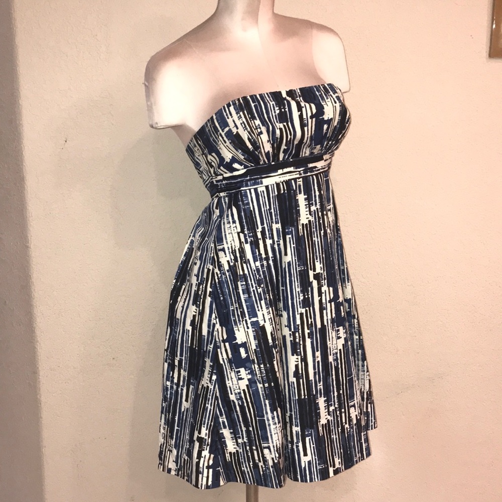 The Limited Dress